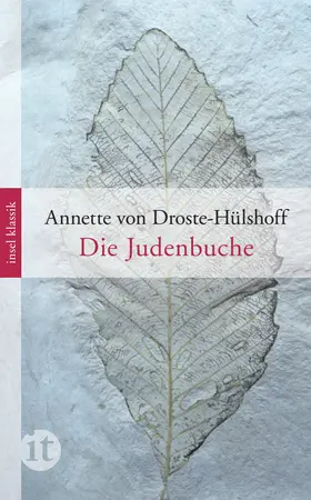 Droste-Hülshoff | Die Judenbuche | Buch | 978-3-458-36241-8 | www.sack.de