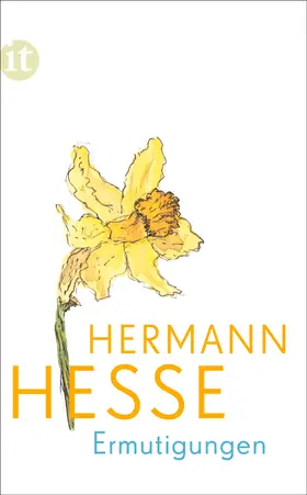 Hesse / Michels | Ermutigungen | Buch | 978-3-458-36276-0 | www.sack.de