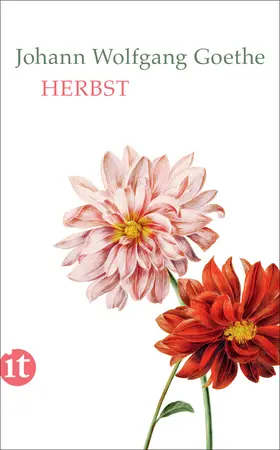 Goethe / Mayer |  Herbst | Buch |  Sack Fachmedien