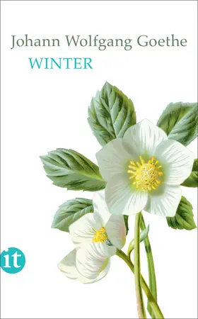 Goethe / Mayer |  Winter | Buch |  Sack Fachmedien