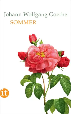 Goethe / Mayer |  Sommer | Buch |  Sack Fachmedien