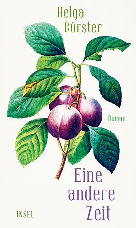 Bürster | Eine andere Zeit | Buch | 978-3-458-64285-5 | www.sack.de