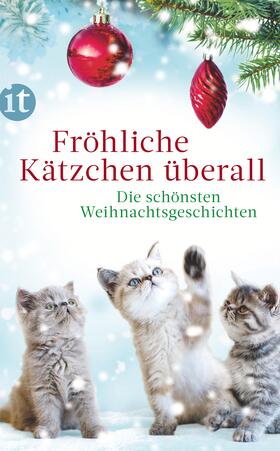 Dammel | Fröhliche Kätzchen überall | Buch | 978-3-458-68109-0 | sack.de