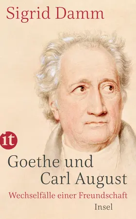 Damm |  Goethe und Carl August | Buch |  Sack Fachmedien