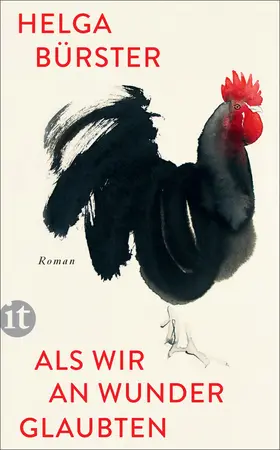 Bürster | Als wir an Wunder glaubten | Buch | 978-3-458-68369-8 | www.sack.de