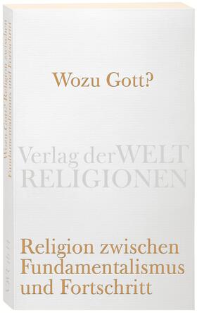 Kemper / Mentzer / Sonnenschein |  Wozu Gott? Religion zwischen Fundamentalismus und Fortschritt | Buch |  Sack Fachmedien