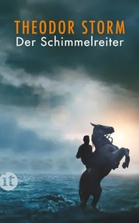 Storm | Der Schimmelreiter | E-Book | sack.de