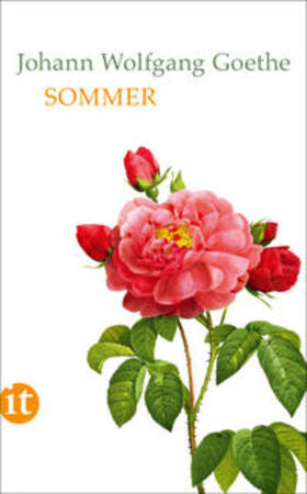 Goethe / Mayer | Sommer | E-Book | sack.de