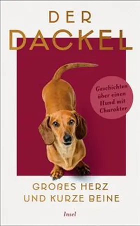 Dammel |  Der Dackel. Großes Herz und kurze Beine. | eBook | Sack Fachmedien