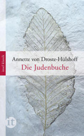 Droste-Hülshoff |  Die Judenbuche | eBook | Sack Fachmedien