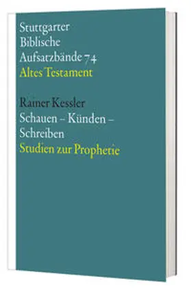 Kessler |  Schauen-Künden-Schreiben | Buch |  Sack Fachmedien
