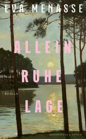 Menasse |  Alleinruhelage | Buch |  Sack Fachmedien