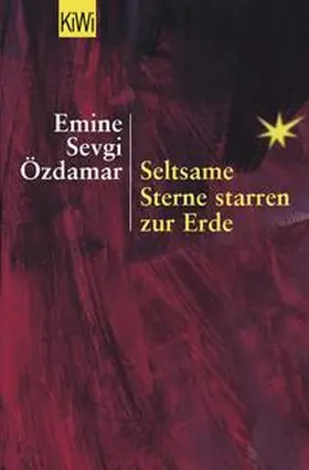 Özdamar |  Seltsame Sterne starren zur Erde | Buch |  Sack Fachmedien
