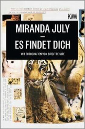 July | Es findet dich | Buch | 978-3-462-04768-4 | sack.de