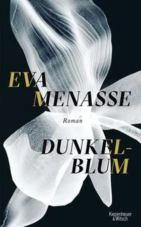 Menasse |  Dunkelblum | Buch |  Sack Fachmedien