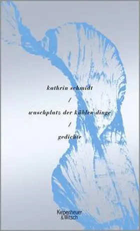 Schmidt |  waschplatz der kühlen dinge | Buch |  Sack Fachmedien