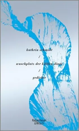 Schmidt |  waschplatz der kühlen dinge | eBook | Sack Fachmedien