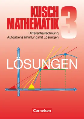 Jung / Kusch / Rüdiger |  Mathematik. Lösungsbuch zu Teil 3: Differentialrechnung | Buch |  Sack Fachmedien