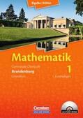 Ledworuski / Bigalke / Köhler |  Lernstufen Mathematik. Grundkurs Qualifikationsphase. Schülerbuch. Neues Kerncurriculum. Brandenburg | Buch |  Sack Fachmedien