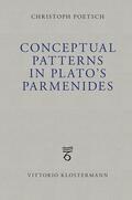 Poetsch |  Conceptual Patterns in Plato's Parmenides | Buch |  Sack Fachmedien