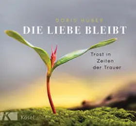 Huber |  Die Liebe bleibt | Buch |  Sack Fachmedien