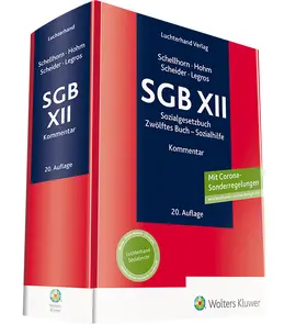 Busse / Schellhorn / Hohm | SGB XII  | Buch | 978-3-472-08971-1 | sack.de