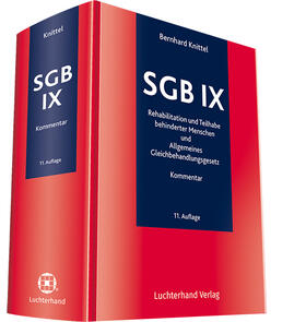 Knittel | SGB IX | Buch | sack.de
