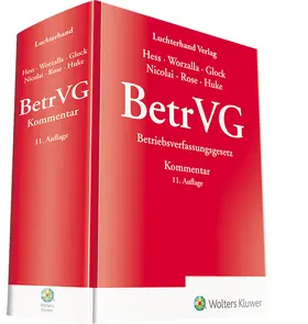 Hess / Worzalla / Glock |  BetrVG: Betriebsverfassungsgesetz | Buch |  Sack Fachmedien