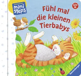 Grimm |  Fühl mal die kleinen Tierbabys | Buch |  Sack Fachmedien