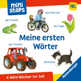 Milk |  ministeps: Mein erster Bücher-Würfel: Meine ersten Wörter (Bücher-Set) | Buch |  Sack Fachmedien