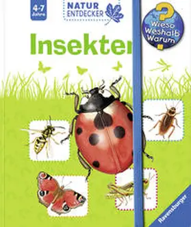 Gernhäuser |  Insekten | Buch |  Sack Fachmedien