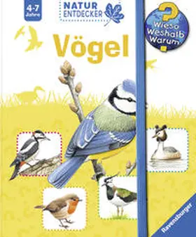 Lenz |  Vögel | Buch |  Sack Fachmedien