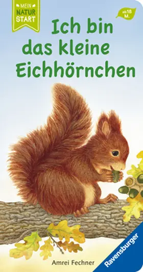 Fechner |  Ich bin das kleine Eichhörnchen | Buch |  Sack Fachmedien