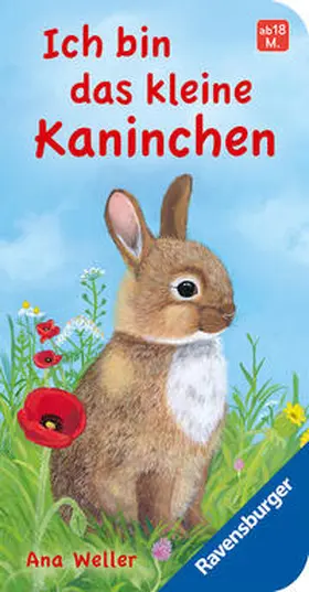 Dierks | Ich bin das kleine Kaninchen | Buch | 978-3-473-41820-6 | www.sack.de