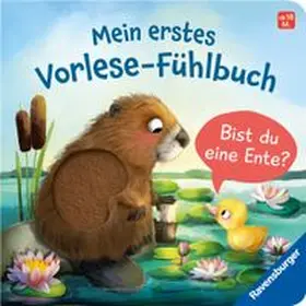 Orso | Mein erstes Vorlese-Fühlbuch - Bist du eine Ente? | Buch | 978-3-473-41873-2 | www.sack.de