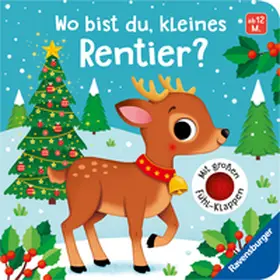 Theda | Wo bist du, kleines Rentier? | Buch | 978-3-473-41928-9 | www.sack.de