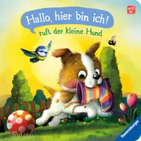 Praml |  "Hallo, hier bin ich!", ruft der kleine Hund | Buch |  Sack Fachmedien