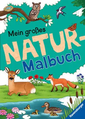 Berens |  Mein großes Natur-Malbuch | Buch |  Sack Fachmedien
