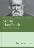 Demandt / Theisohn |  Storm-Handbuch | Buch |  Sack Fachmedien
