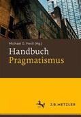 Festl |  Handbuch Pragmatismus | Buch |  Sack Fachmedien