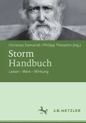Demandt / Theisohn |  Storm-Handbuch | eBook | Sack Fachmedien