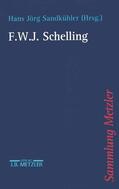 Sandkühler |  F.W.J. Schelling | Buch |  Sack Fachmedien