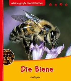 Starosta / Tracqui |  Meine große Tierbibliothek: Die Biene | Buch |  Sack Fachmedien