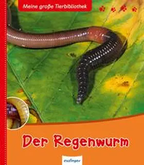 Tracqui |  Der Regenwurm | Buch |  Sack Fachmedien