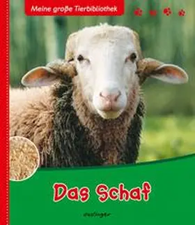 Dubois |  Meine große Tierbibliothek: Das Schaf | Buch |  Sack Fachmedien