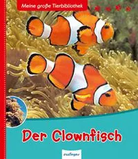 Allain |  Der Clownfisch | Buch |  Sack Fachmedien