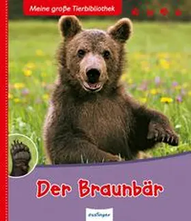 Tracqui |  Meine große Tierbibliothek: Der Braunbär | Buch |  Sack Fachmedien