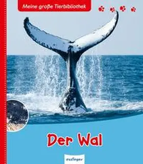 Tracqui |  Meine große Tierbibliothek: Der Wal | Buch |  Sack Fachmedien