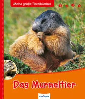 Tracqui |  Das Murmeltier | Buch |  Sack Fachmedien