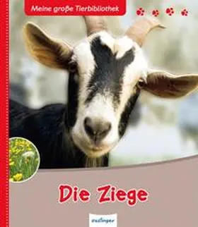 Noblet |  Die Ziege | Buch |  Sack Fachmedien
